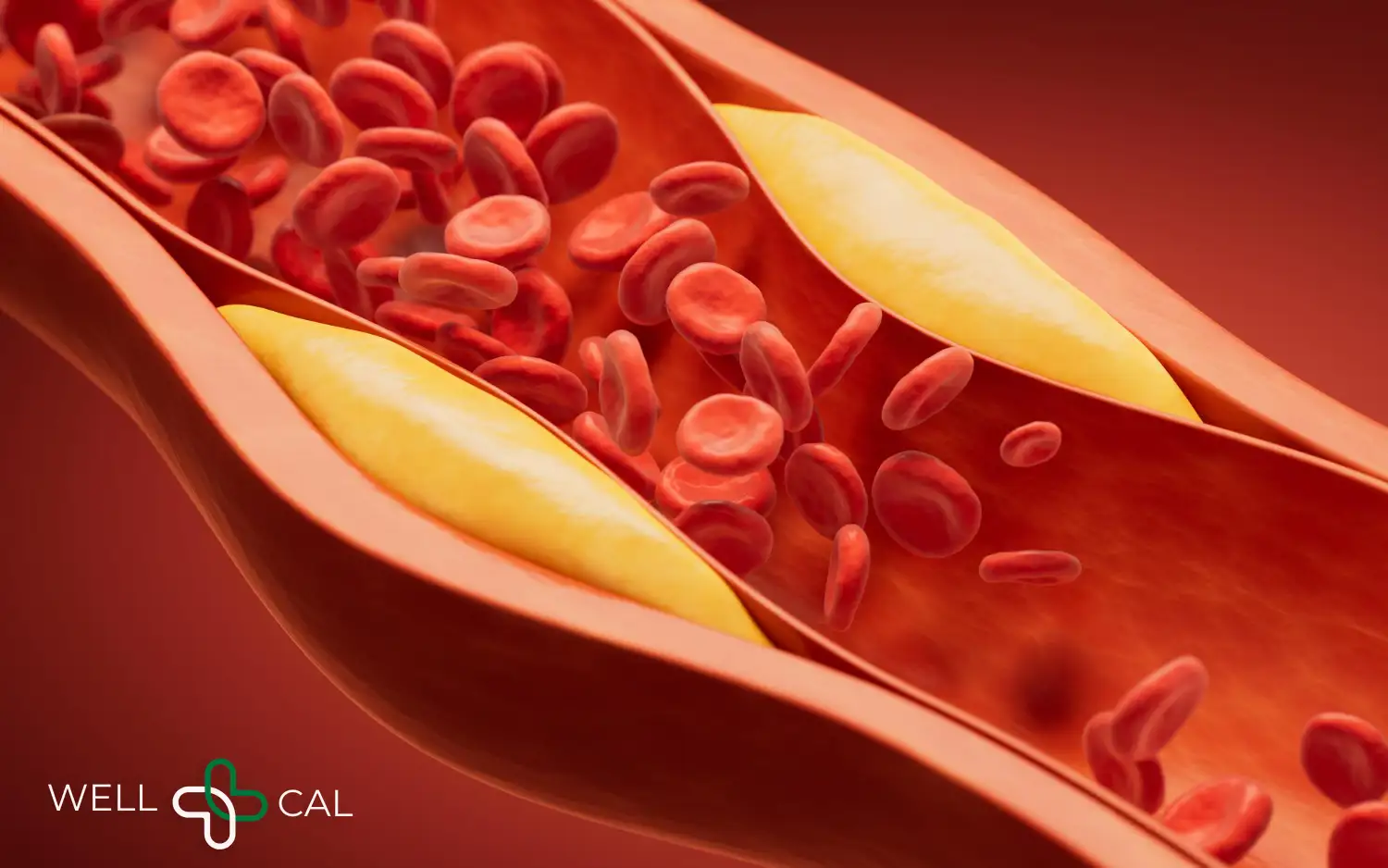 Cholesterol Ratio Calculator: LDL/HDL & TC/HDL Guide Now